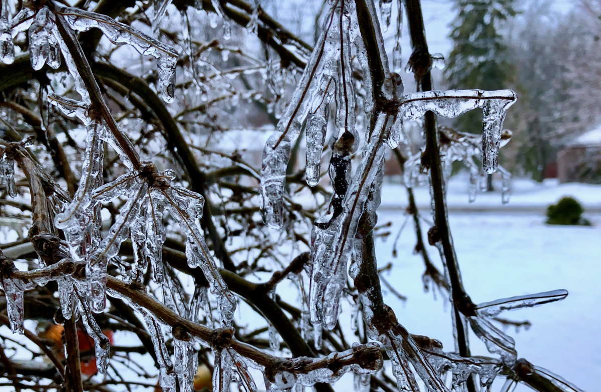 A risk of freezing rain is expected for parts of B.C.'s Interior region Wednesday night into Thursday.