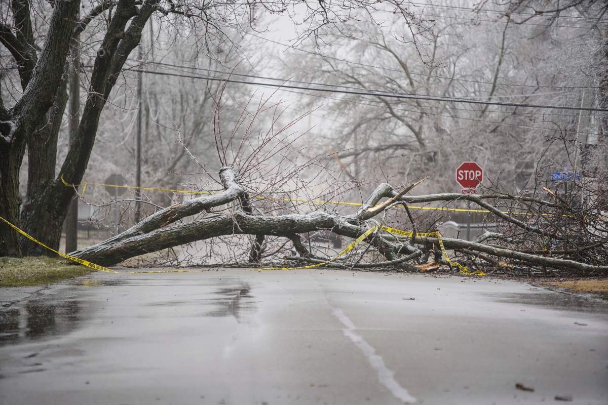 Ice storm damage in the Milwood neighborhood in Kalamazoo, Mich., on Thursday, Feb. 23, 2023.