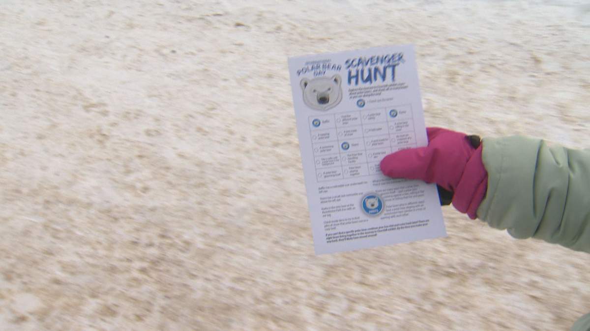 International Polar Bear activities at Assiniboine Park Zoo