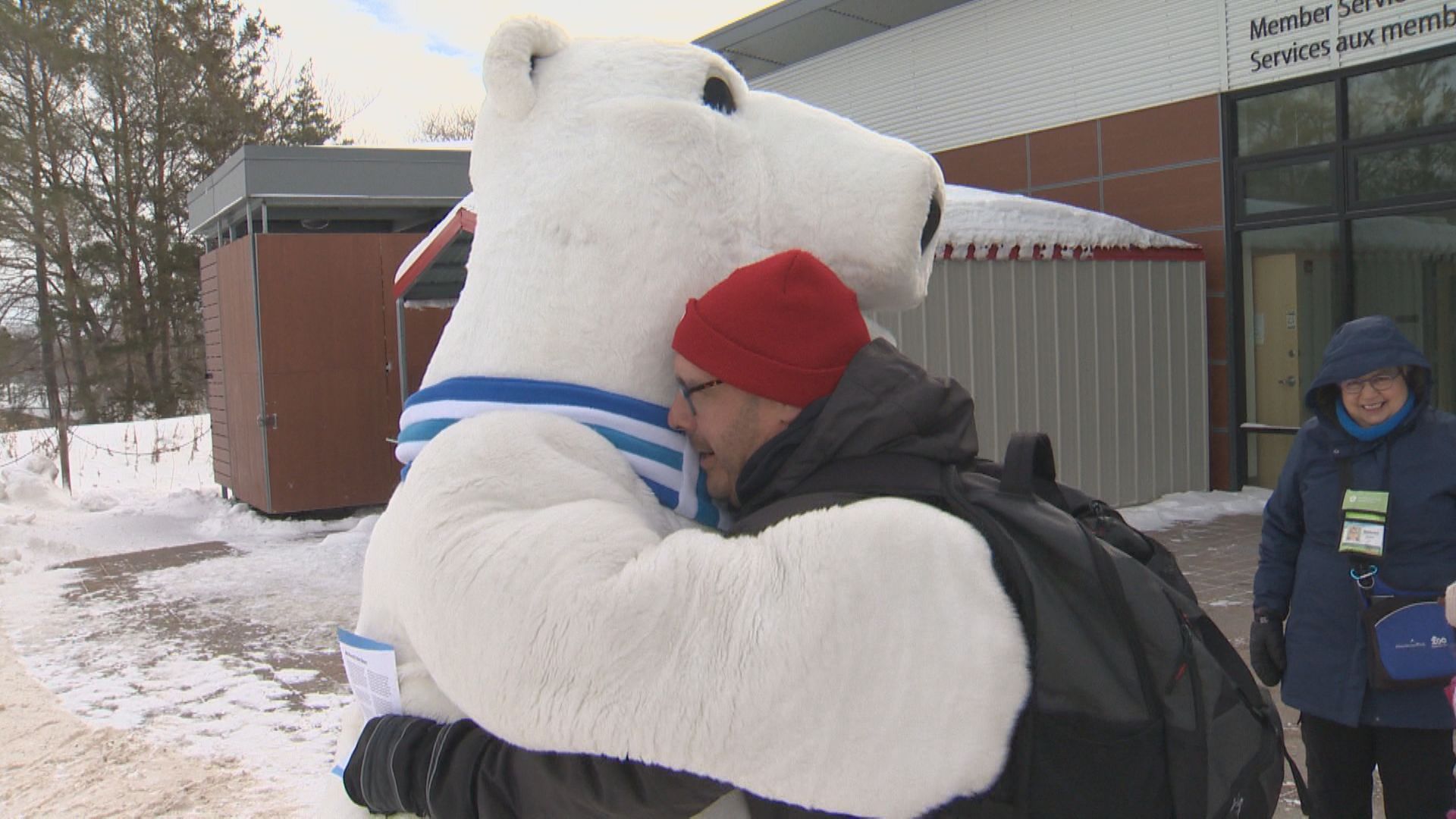 아시니보인 공원 동물원은 세계 북극곰의 날을 기념해