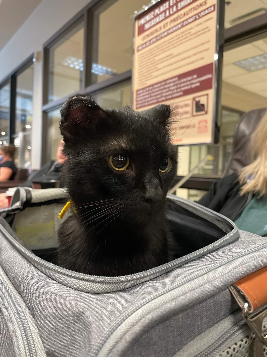 Blaze, now goes by Blake. 