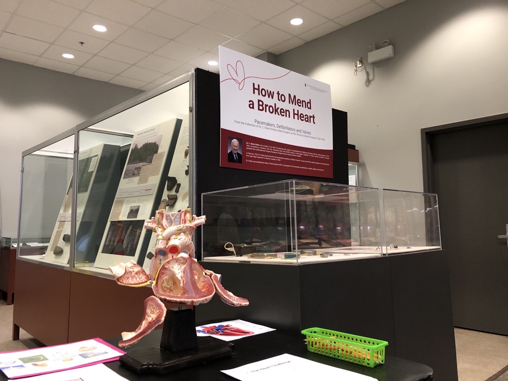 The "How to Mend a Broken Heart" display at the Museum of Natural History.