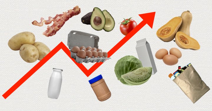 How rising food prices make eating healthy a big-time struggle for some Canadians