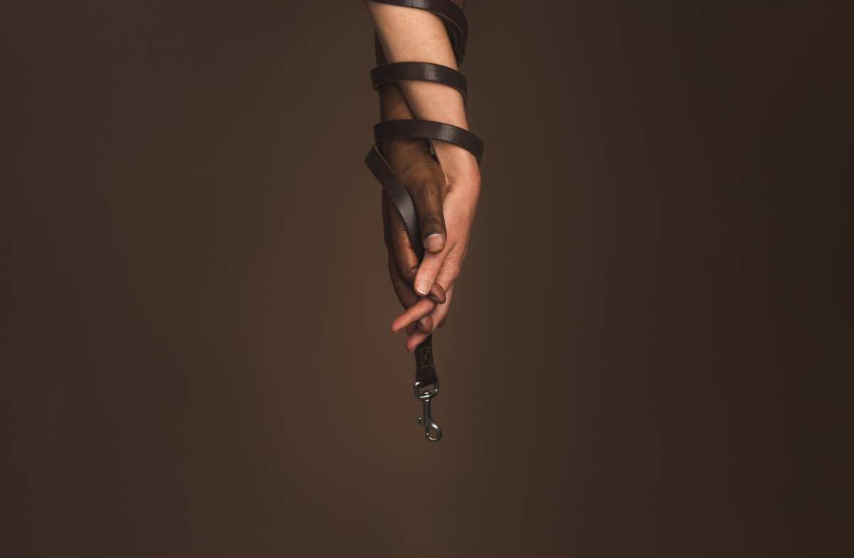 Redbone Coonhound - image