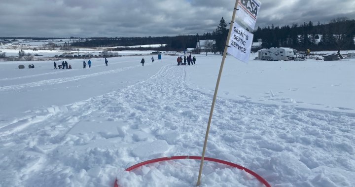 Snow golfing: New Brunswickers tee off for a good cause