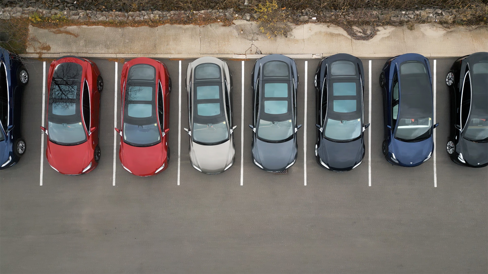 Used Tesla cars at Shift Electric Vehicles, a used car dealership for EVs in Oakville, ON.