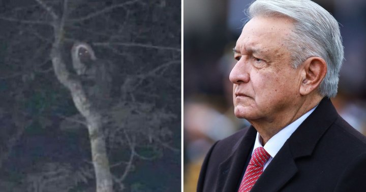 Mexican president posts photo of what he says is an elf — but the pic has a history