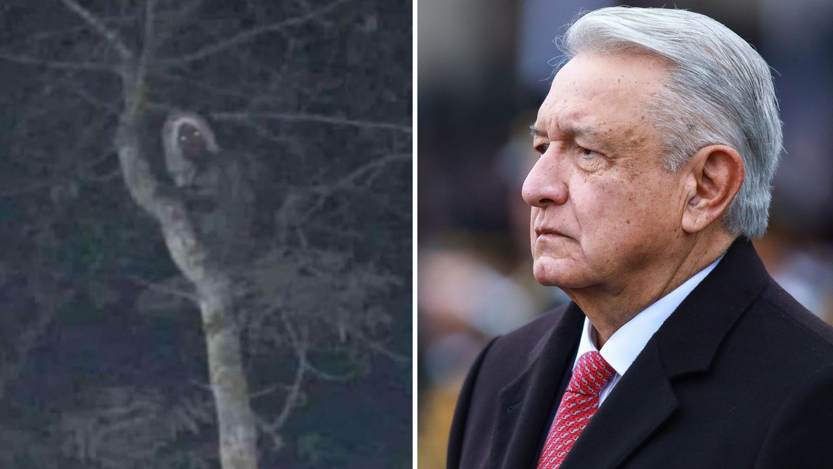 A split photo. On the left is the photo of the alleged 'aluxe.' On the right is President Andrés Manuel López Obrador.