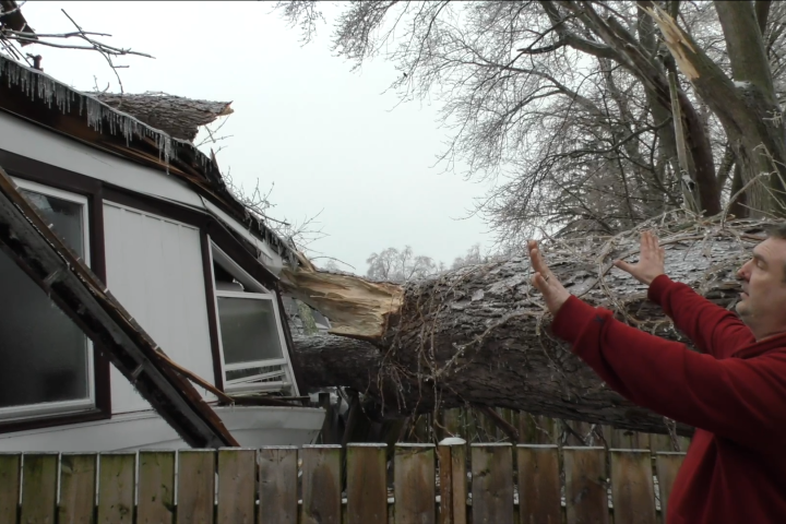 Niagara couple ‘lucky to be alive’ after giant tree crashes into bedroom of Fort Erie, Ont. home