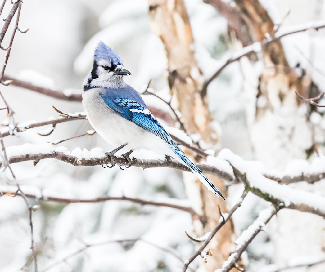 Your Saskatchewan photo of the day: March 2023  | 24CA News