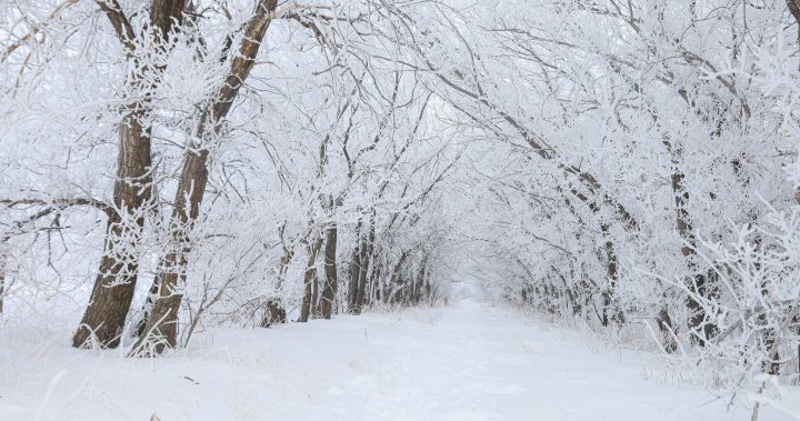 Your Saskatchewan photo of the day: February 2023