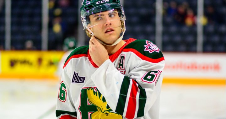Halifax Mooseheads’ Zachary L’Heureux suspended 10 games for fan incident in Gatineau, Que. 
