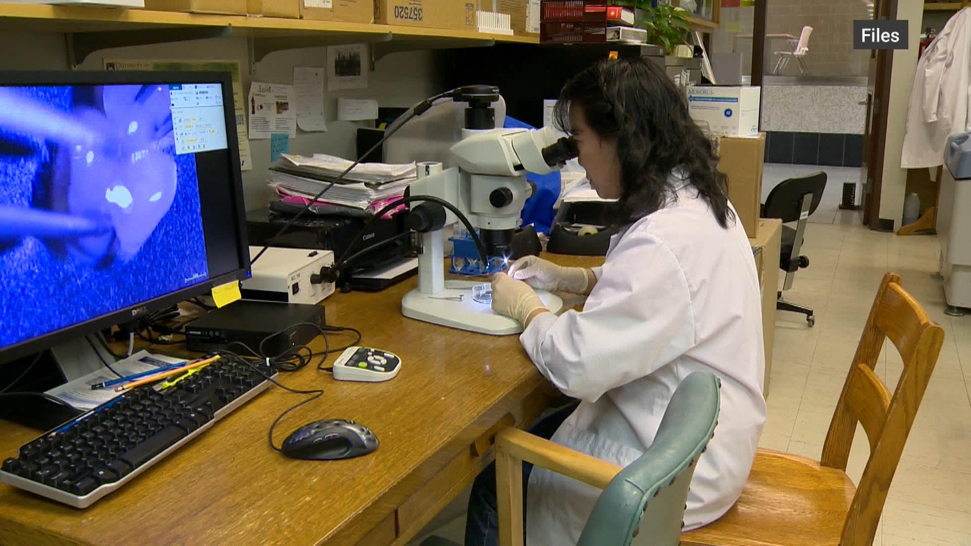 USask researchers to start clinical trials for new Alzheimer’s drug  | 24CA News