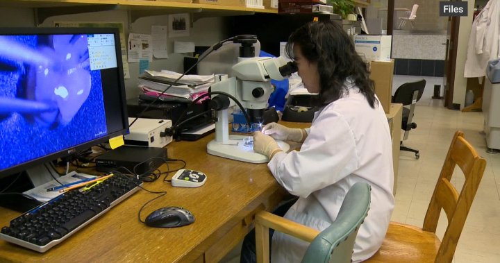 USask researchers to start clinical trials for new Alzheimer’s drug