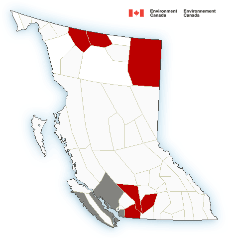 Snowfall Warning Issued For Parts Of Coquihalla Highway | Globalnews.ca