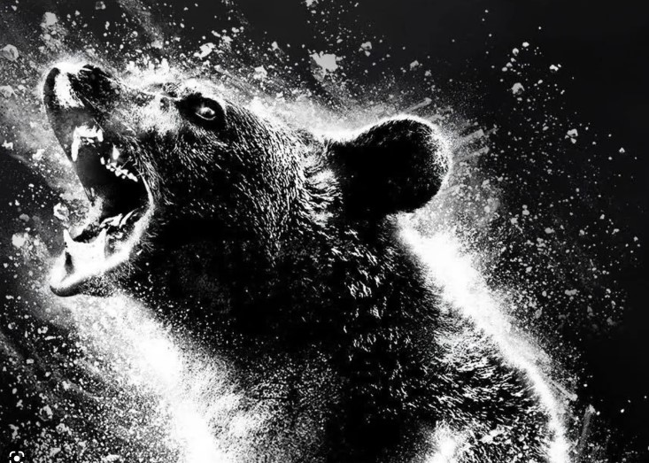 Cocaine Bear's Story Secretly Has A Much Deeper Meaning (Yes, Really!)