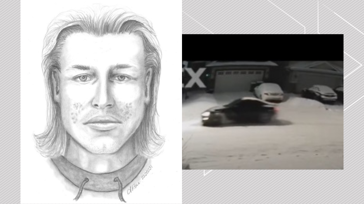 Edmonton police have released a sketch of a suspect, as well as a picture of a vehicle of interest, in a pair of vehicle thefts in southeast Edmonton.