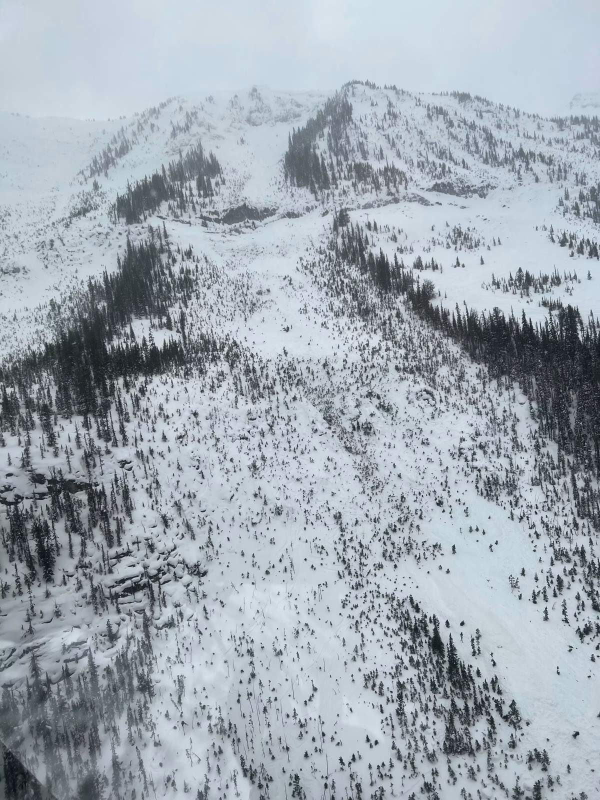 Overview of the entire avalanche path. Photos from Golden and District Search and Rescue.