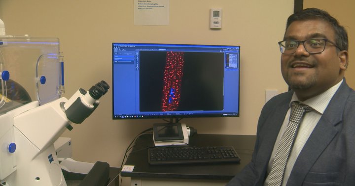 New Brunswick researchers find flaw in heart failure diagnostic among women