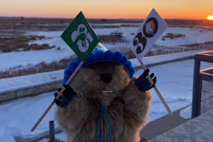 ‘Manitoba Merv’ predicts six more weeks of winter on Groundhog Day
