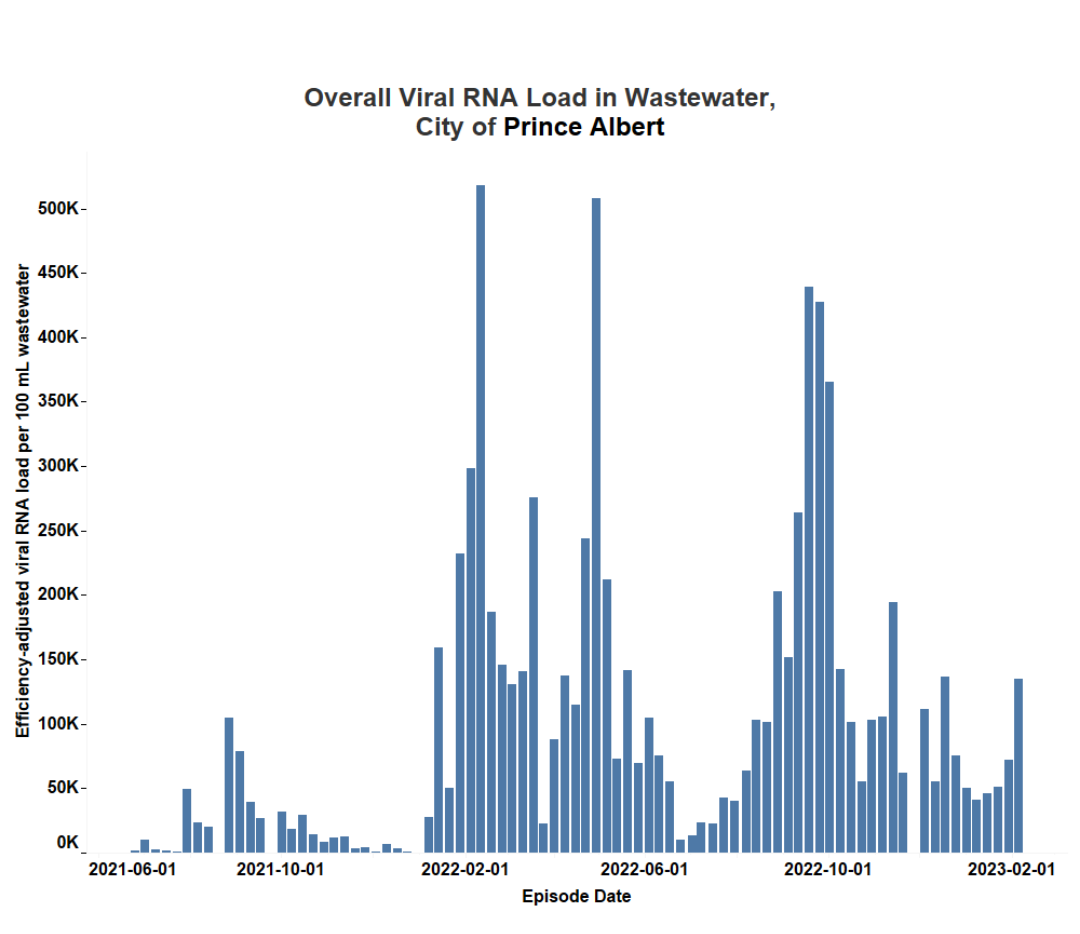 Overall viral load found in the wastewater in Prince Albert.