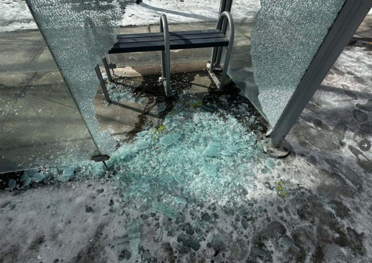 Peterborough police say eight bus shelters were damaged over the Family Day long weekend.