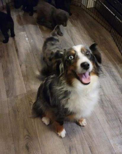 Noelle is feeling happy and healthy in her foster home.