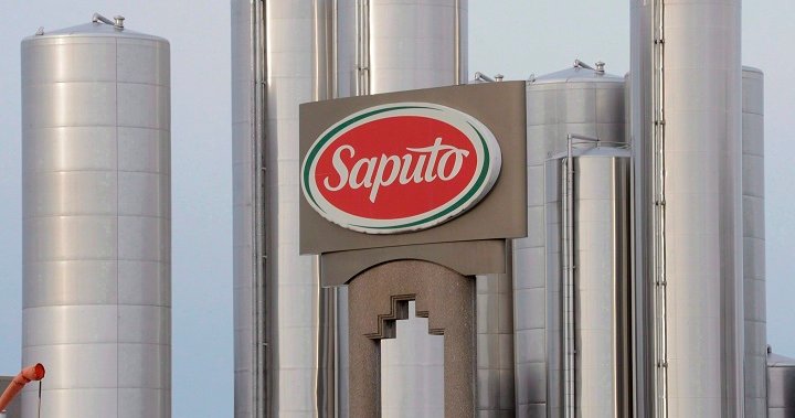 Dairy large Saputo to completely shut 3 U.S. amenities, make bigger and construct others