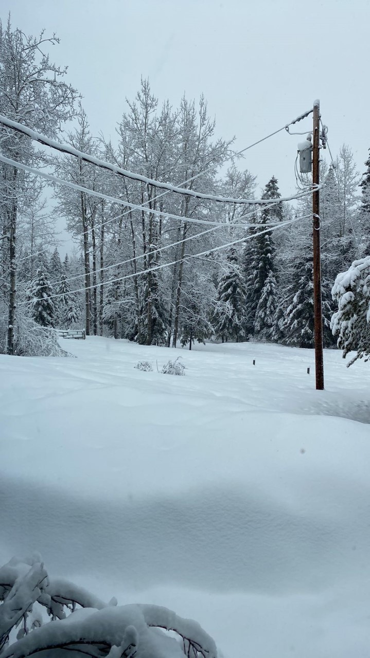 Snowfall in the Dease Lake area in only three days.