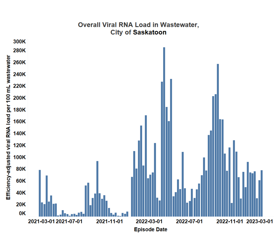 Overall viral load found in the wastewater in Saskatoon.