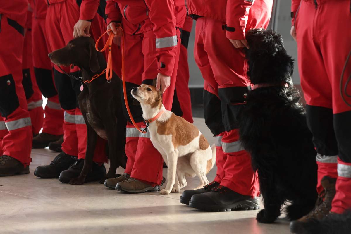 Czech rescue crews prepare to deploy to Turkey.