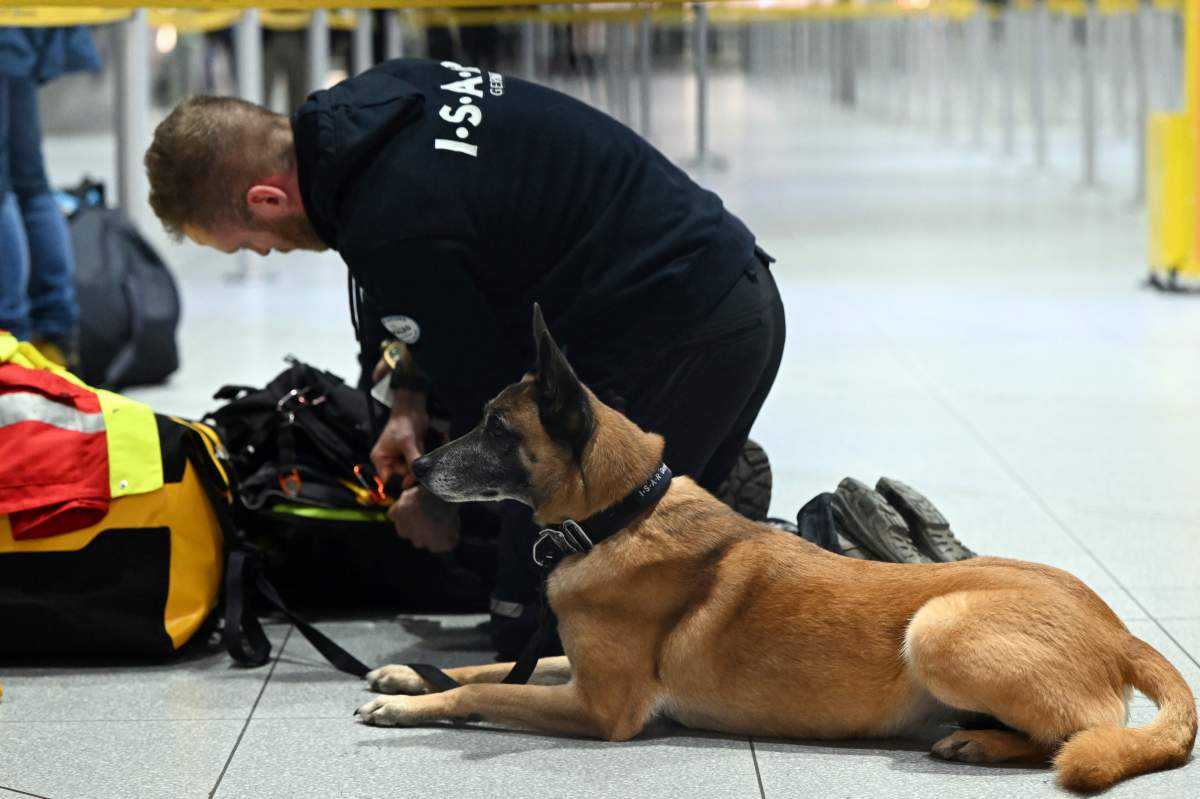 A rescue dog waits to deploy to earthquake efforts in TUrkey.