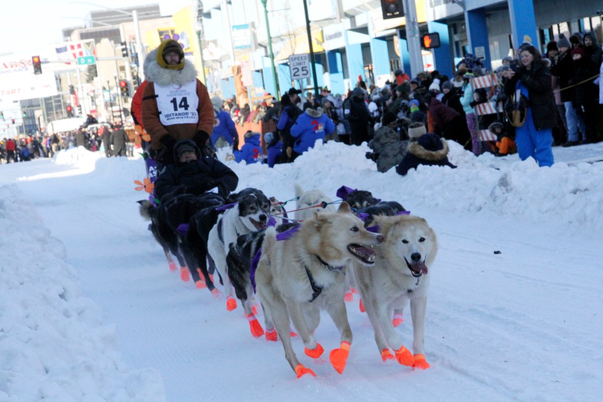 Defending champion Brent Sass mushes his dog team down Fourth Avenue during the Iditarod Trail Sled Dog Race's ceremonial start in downtown Anchorage, Alaska, on Saturday, March 4, 2023.