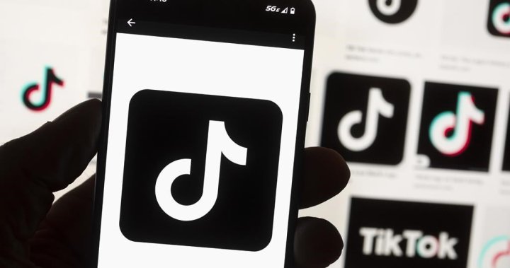 TikTok banned on work devices for Sask. government employees