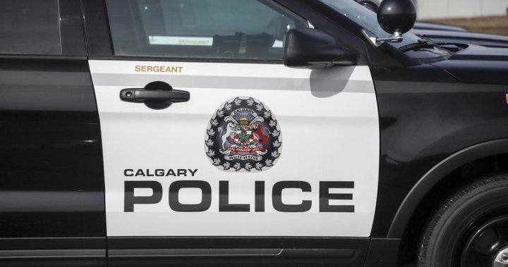 Man dealing with 19 expenses in string of break and enters in southeast Calgary – Calgary