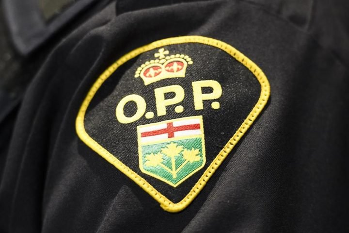 Pedestrian dead after collision with vehicle in Townsend, Ont.