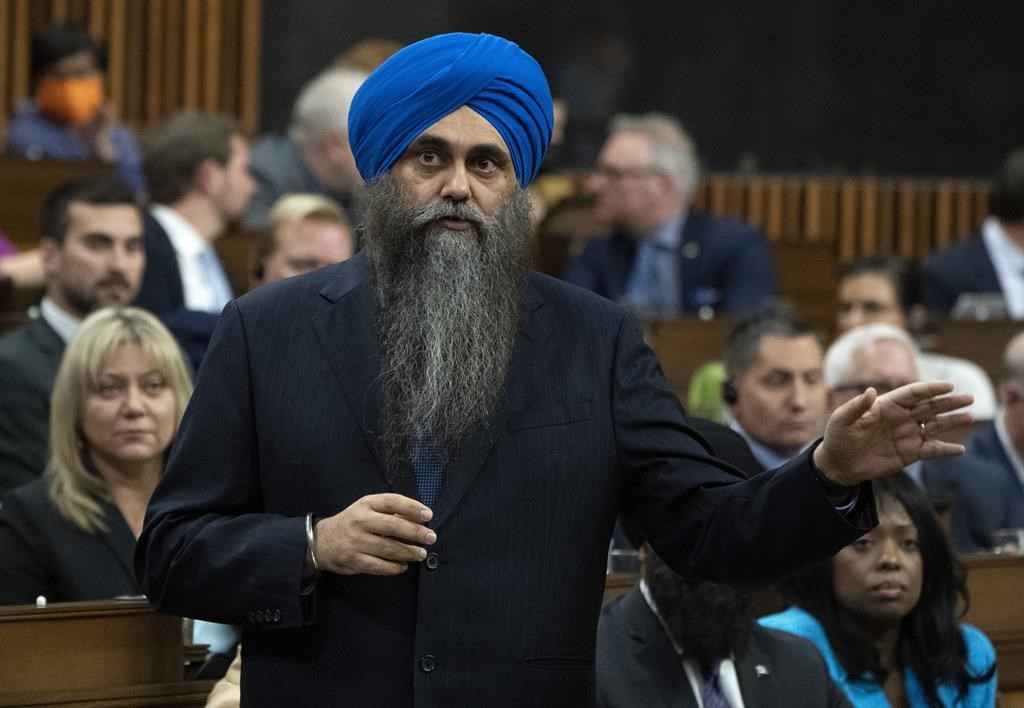 Canadian MPs voicing concern over Punjab internet crackdown receive ‘harsh’ responses – National | 24CA News