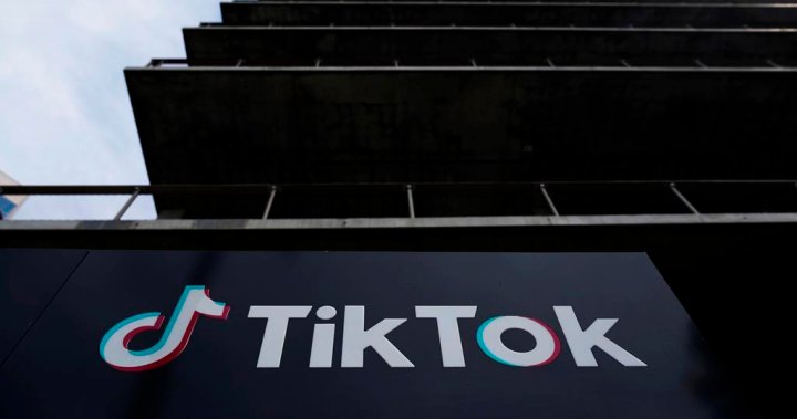 TikTok faces ‘pivotal moment’ as U.S. lawmakers seek ban, CEO tells users – National | Globalnews.ca