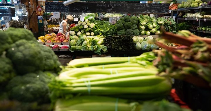 Ottawa summons major grocery CEOs to talk lowering food prices — or else
