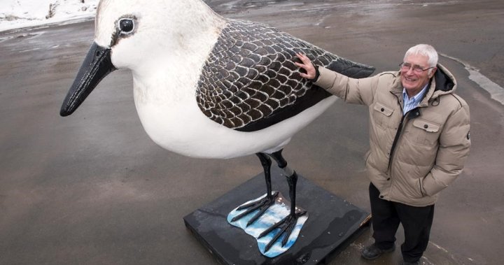 Piper down: Village in New Brunswick wants giant sandpiper returned to pedestal