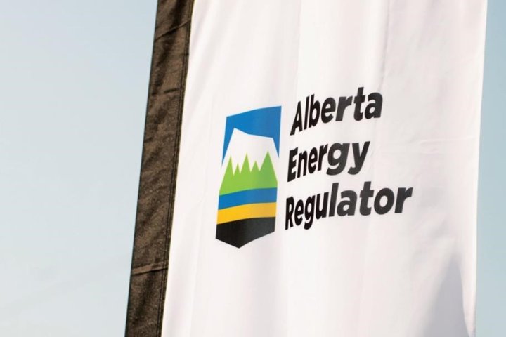 Chair of Alberta Energy Regulator says he’s stepping down in September