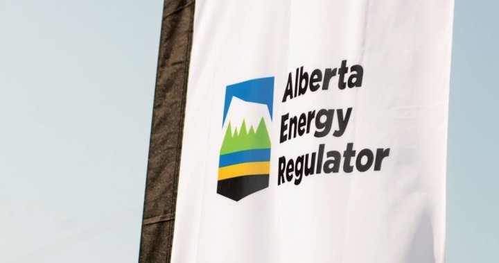 Chair of Alberta Energy Regulator says he’s stepping down in September