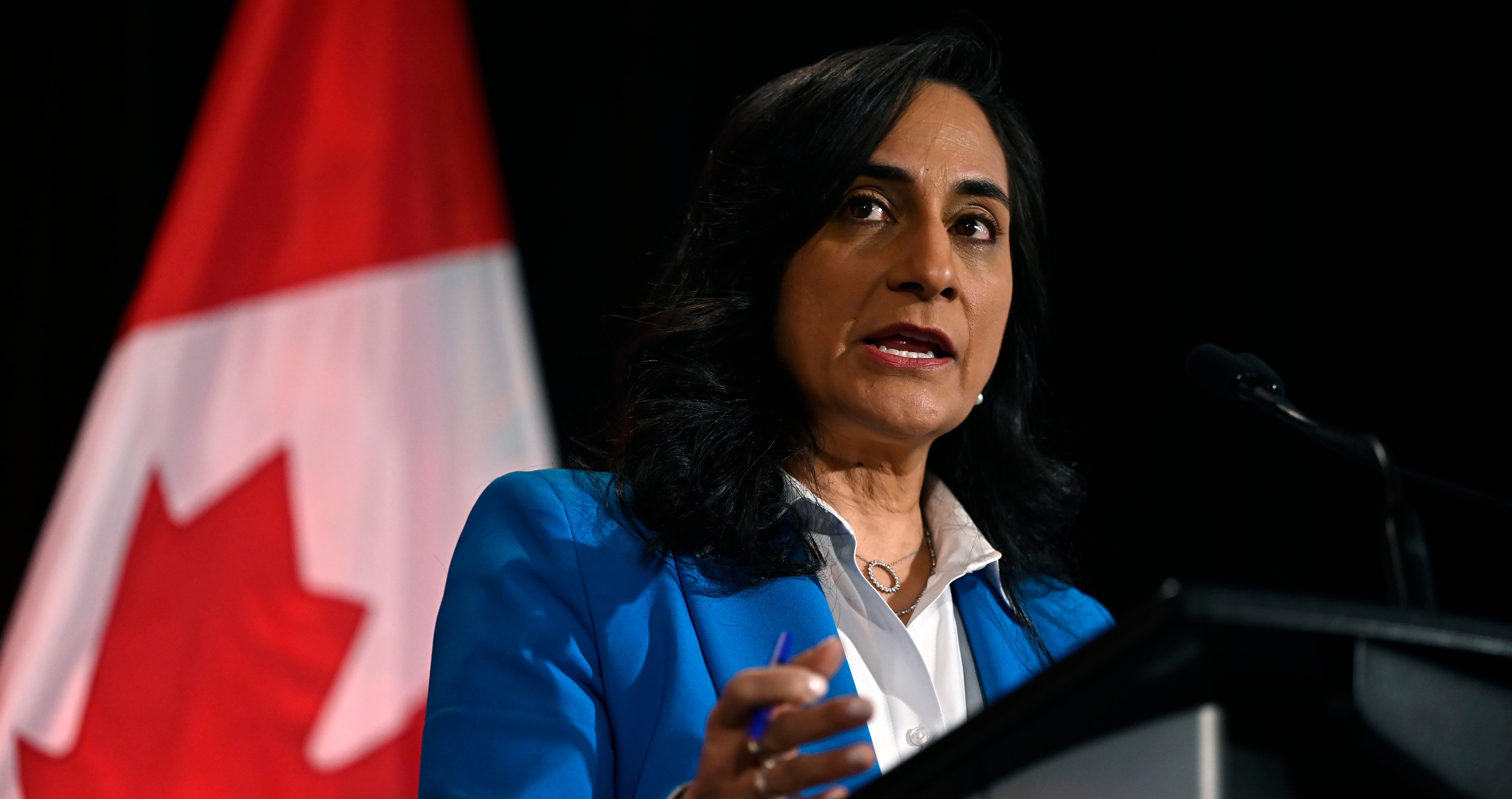 Ottawa must ‘recapitalize’ the Canadian Armed Forces, Anand says ahead of budget