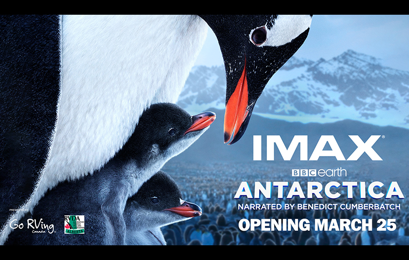 Global Edmonton supports: Antarctica IMAX 3D at TELUS World of Science – Edmonton - image