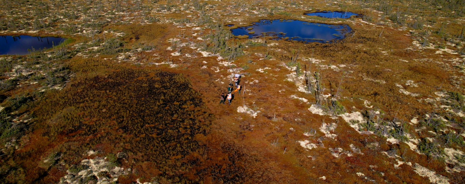 Treasure, conflict, and survival in Canada’s peatlands - image