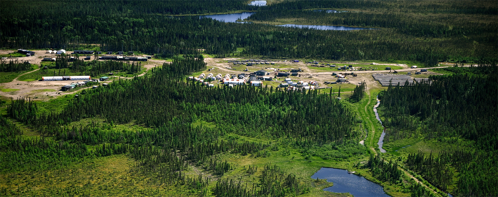 Treasure, conflict, and survival in Canada’s peatlands - image