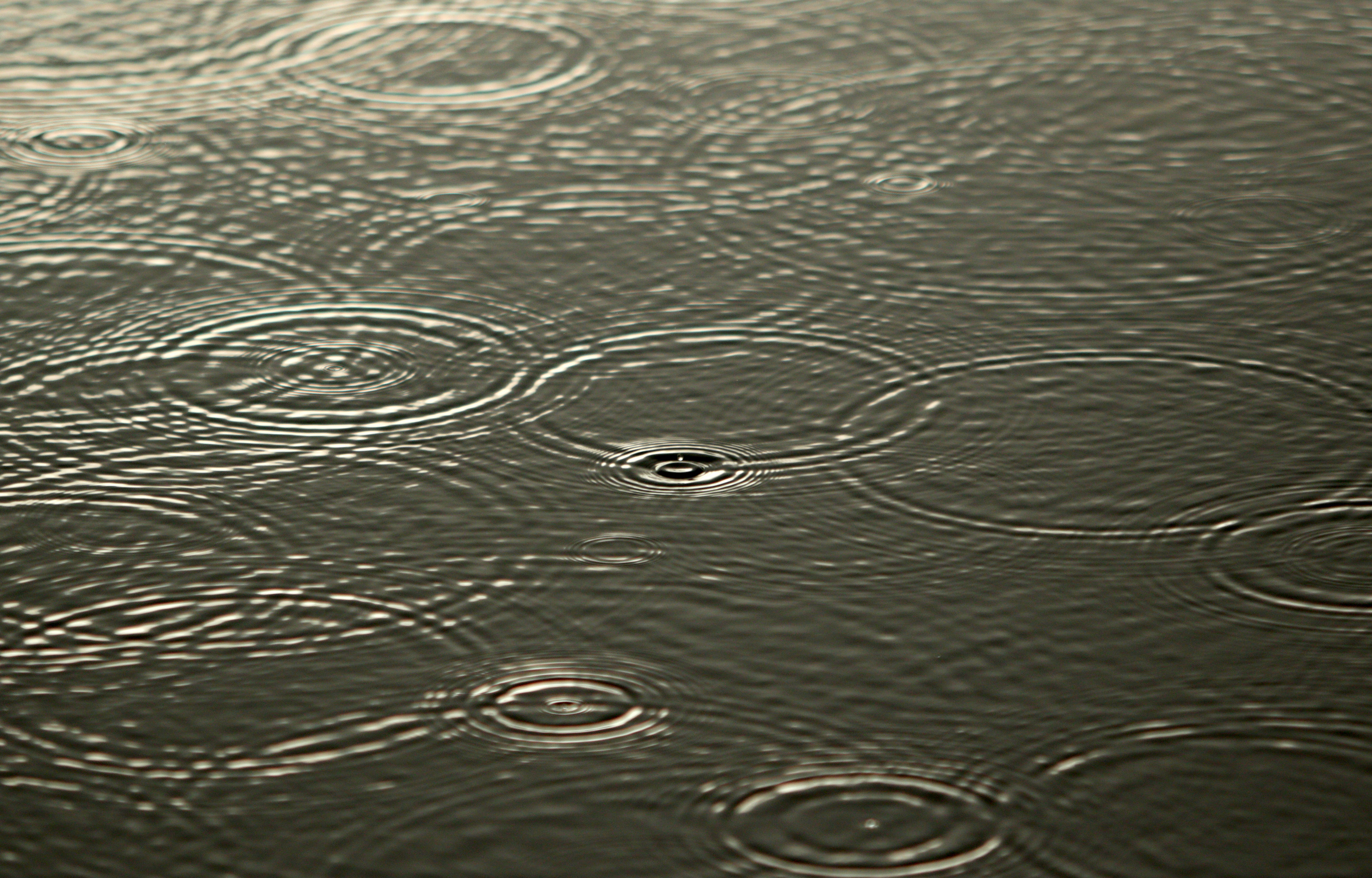 Flood watch issued for Peterborough area with heavy rainfall expected – Peterborough | 24CA News