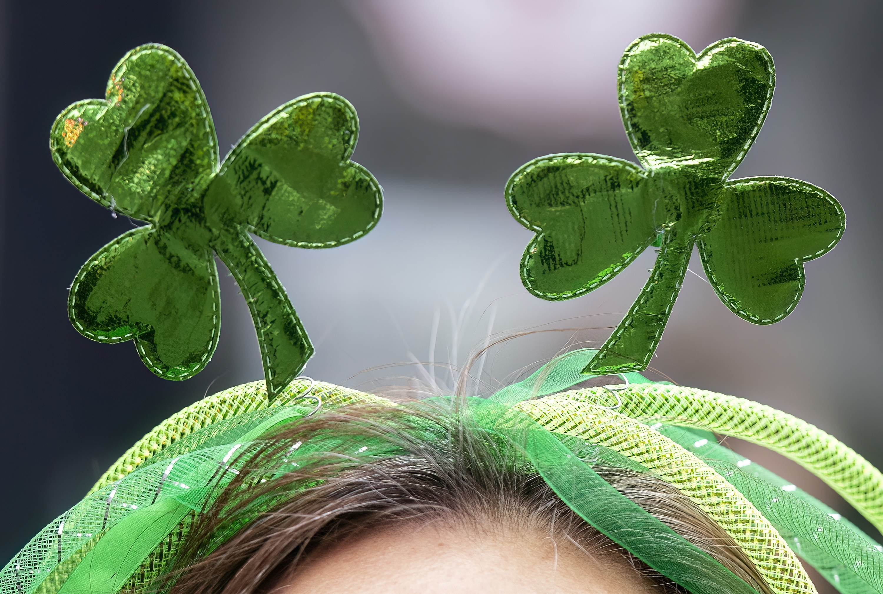 Имаше около 9500 гуляи на неразрешеното улично парти на улица