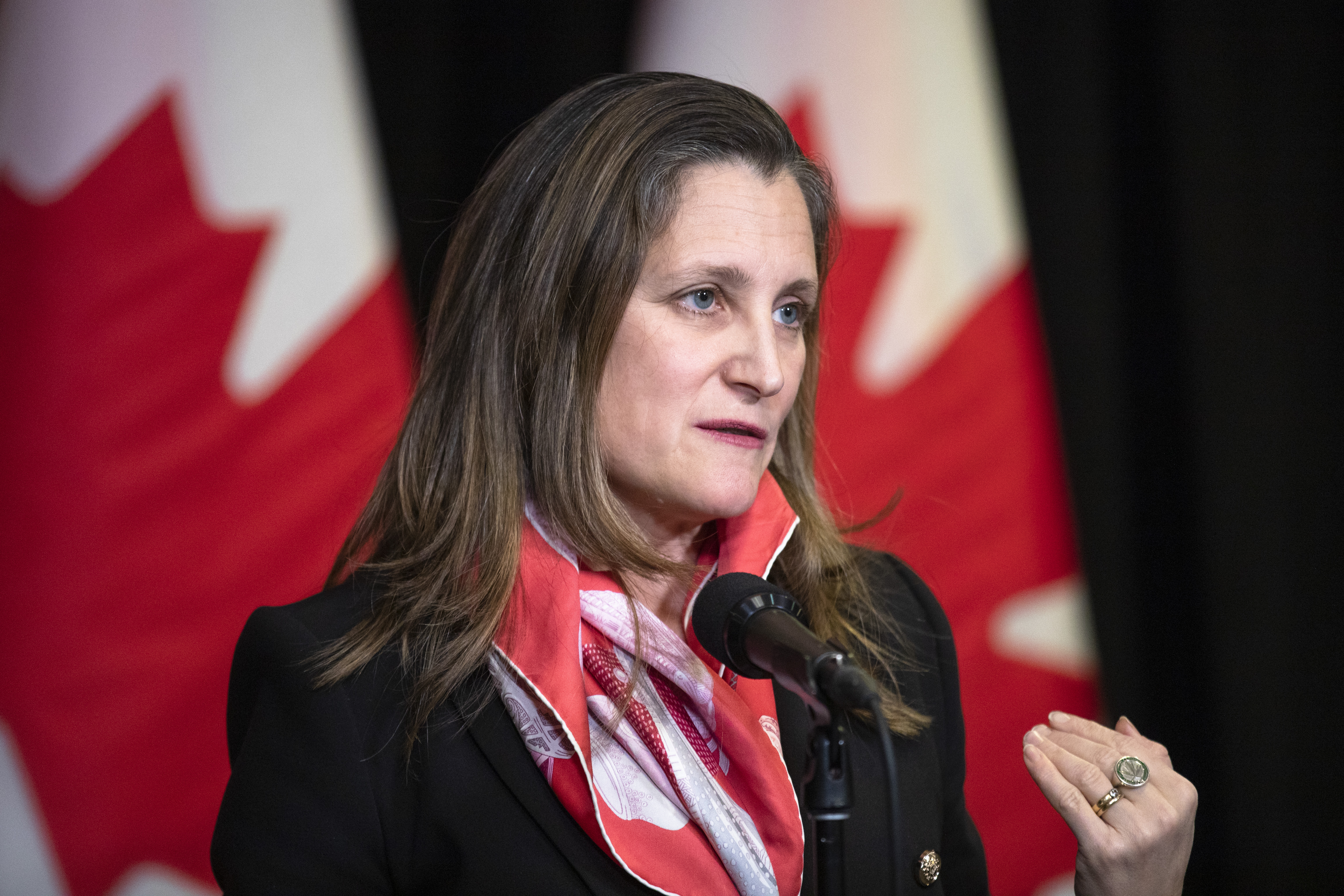 Putin on ‘wrong side of history,’ Freeland warns China – National | 24CA News