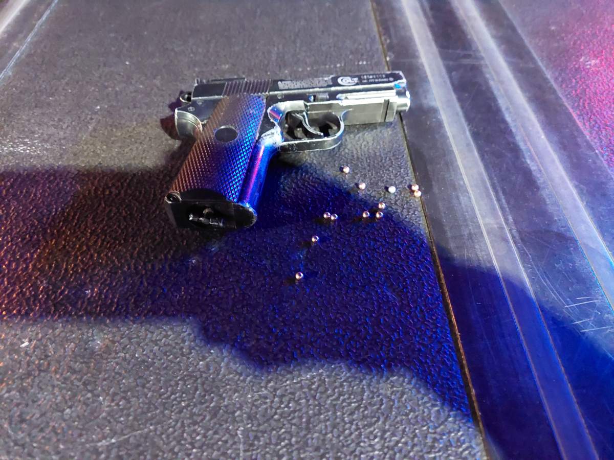 Abbotsford Police say a local woman is facing several charges after she fired a pellet gun at a police cruiser.